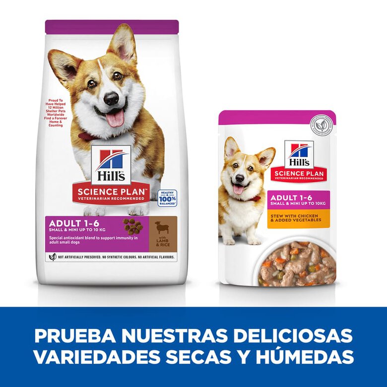 Hill's Science Plan Adult Small & Mini Cordero pienso para perros, , large image number null